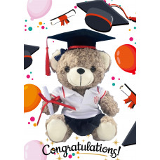 Graduation Teddy Bear
