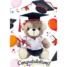 Graduation Teddy Bear